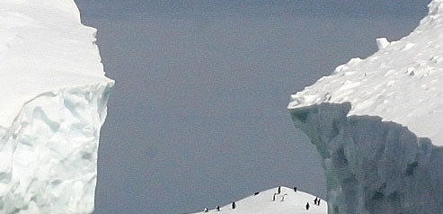 ICEBERG Consulting