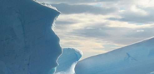 ICEBERG Consulting
